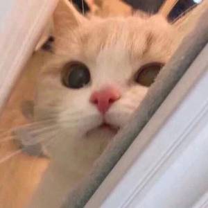 国产男男GayFuCK激情酒店
